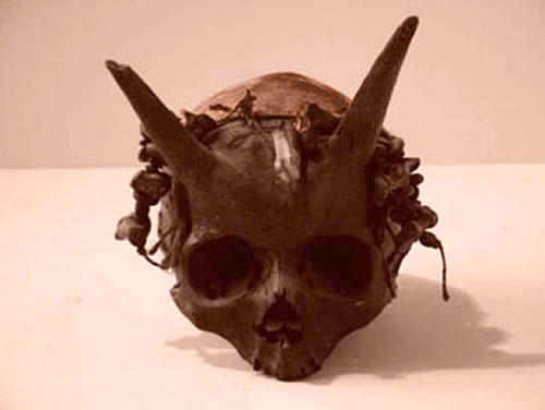 Lloyd Pye met zijn "Starchild" schedel