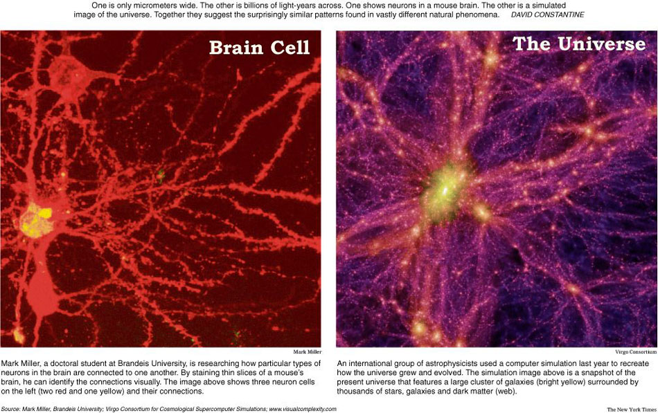 De structuur van ons brein lijkt precies op die van het hele universum. Toeval?